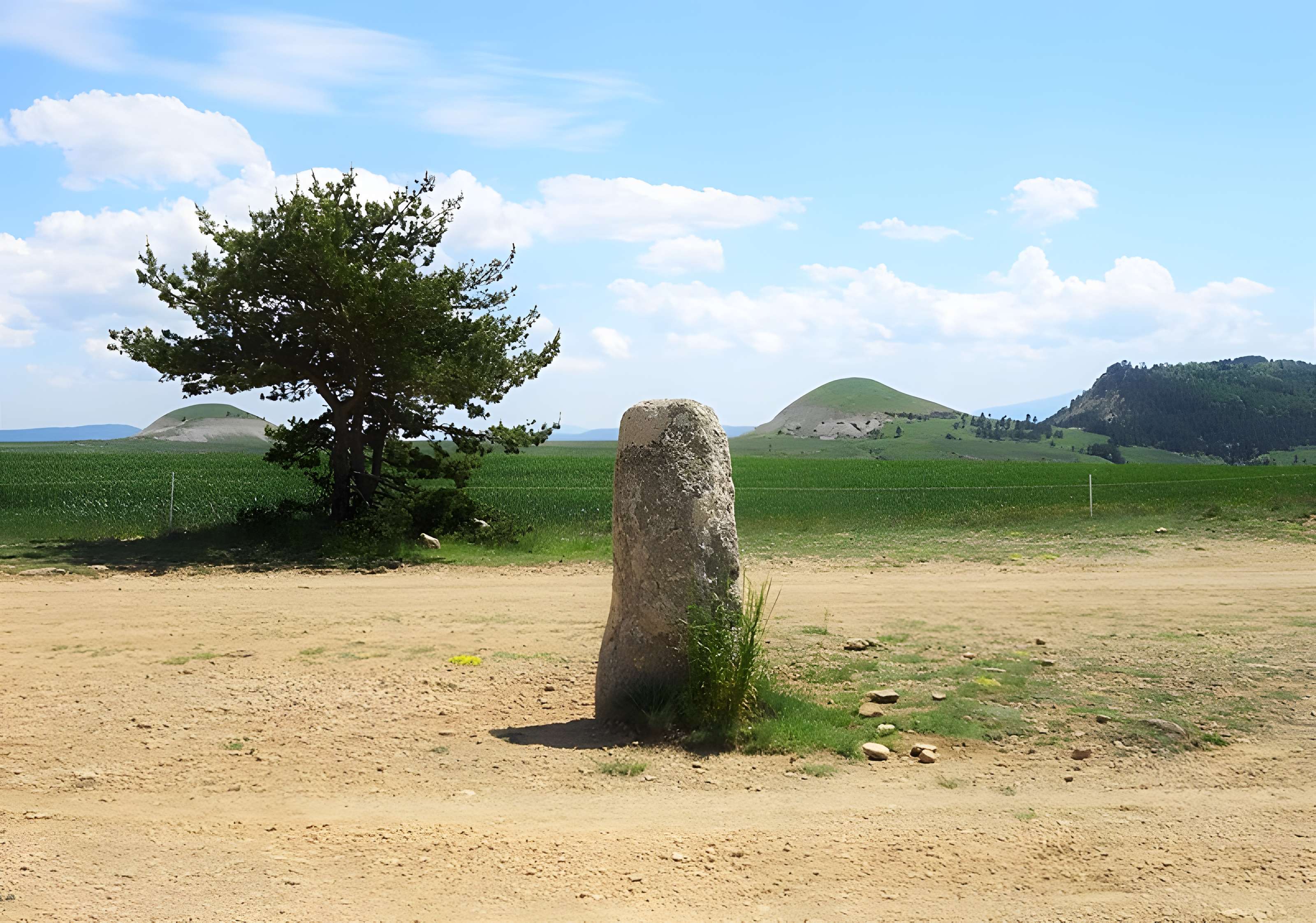 Menhirs constituant le premier groupe dit de la Fage