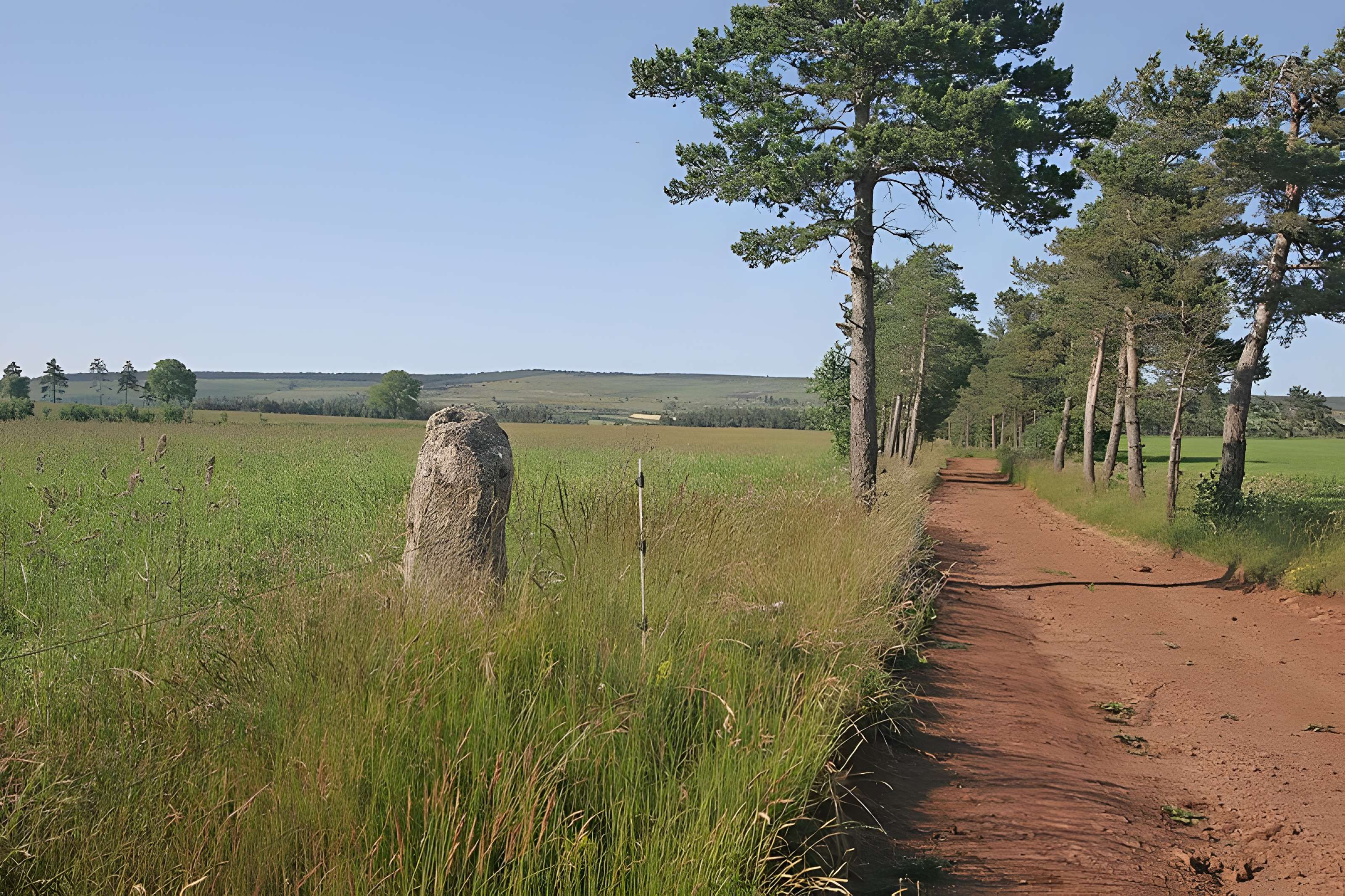 Menhirs constituant le premier groupe dit de la Fage