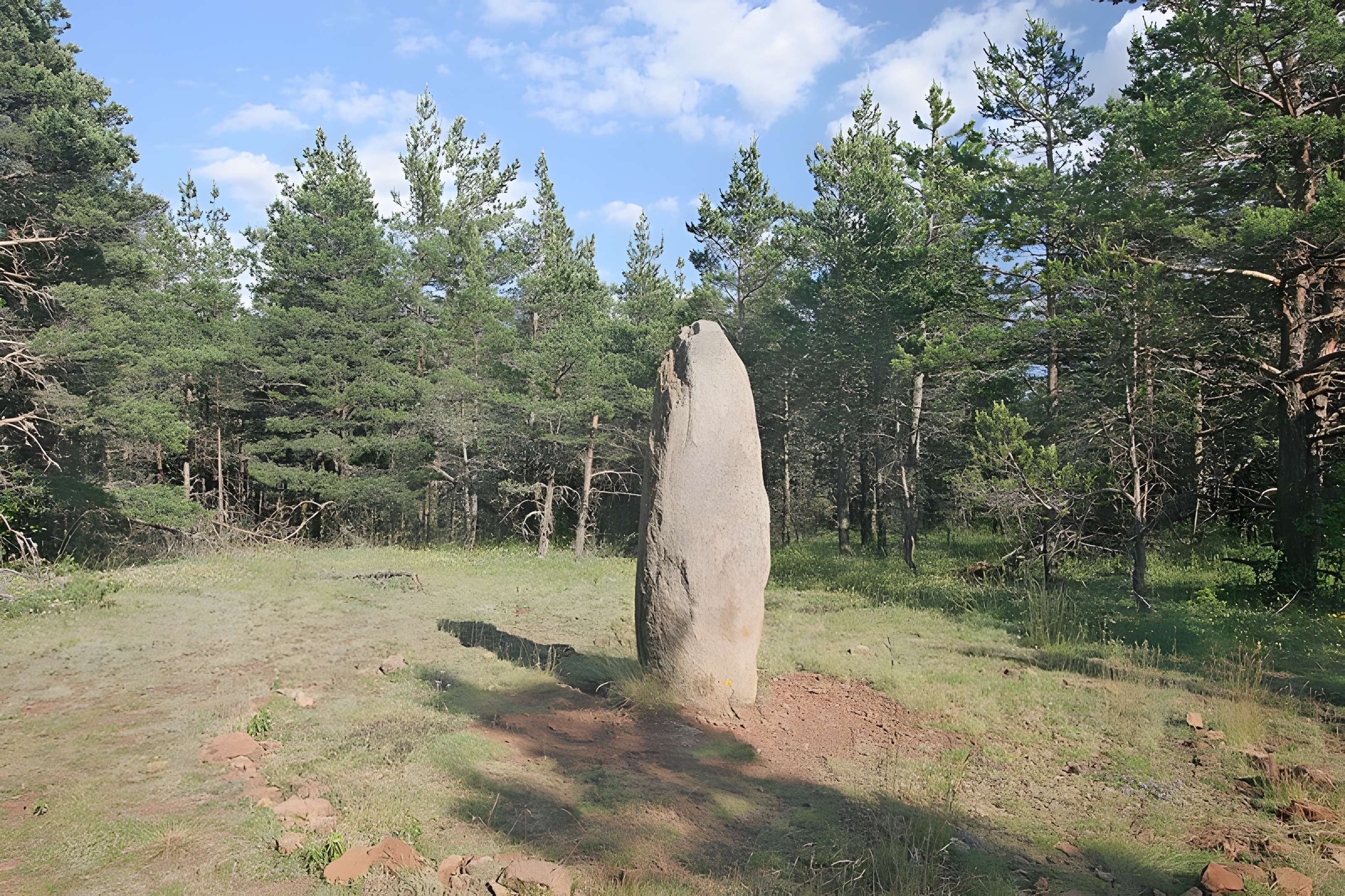 Menhirs constituant le premier groupe dit de la Fage