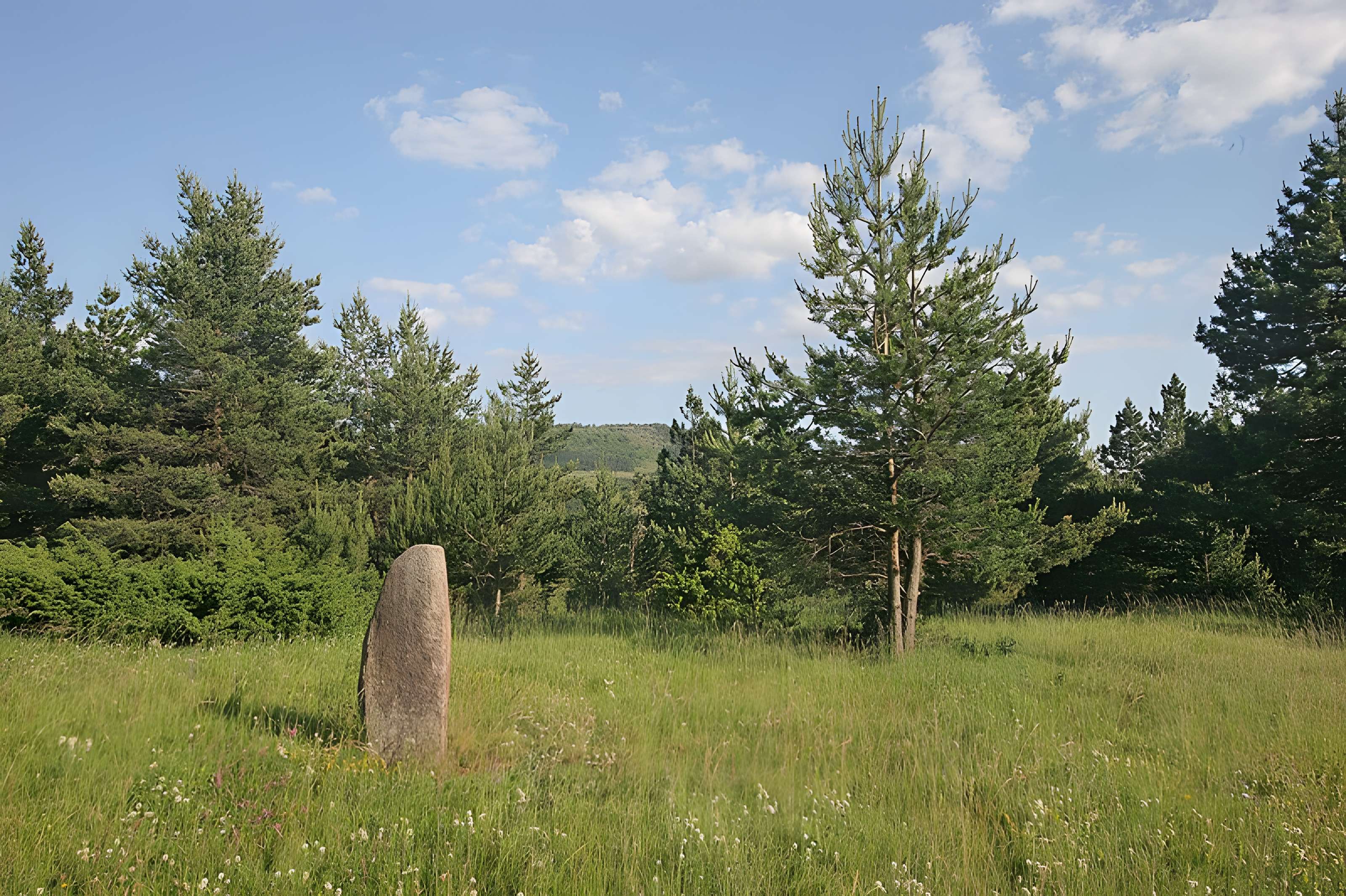 Menhirs constituant le premier groupe dit de la Fage