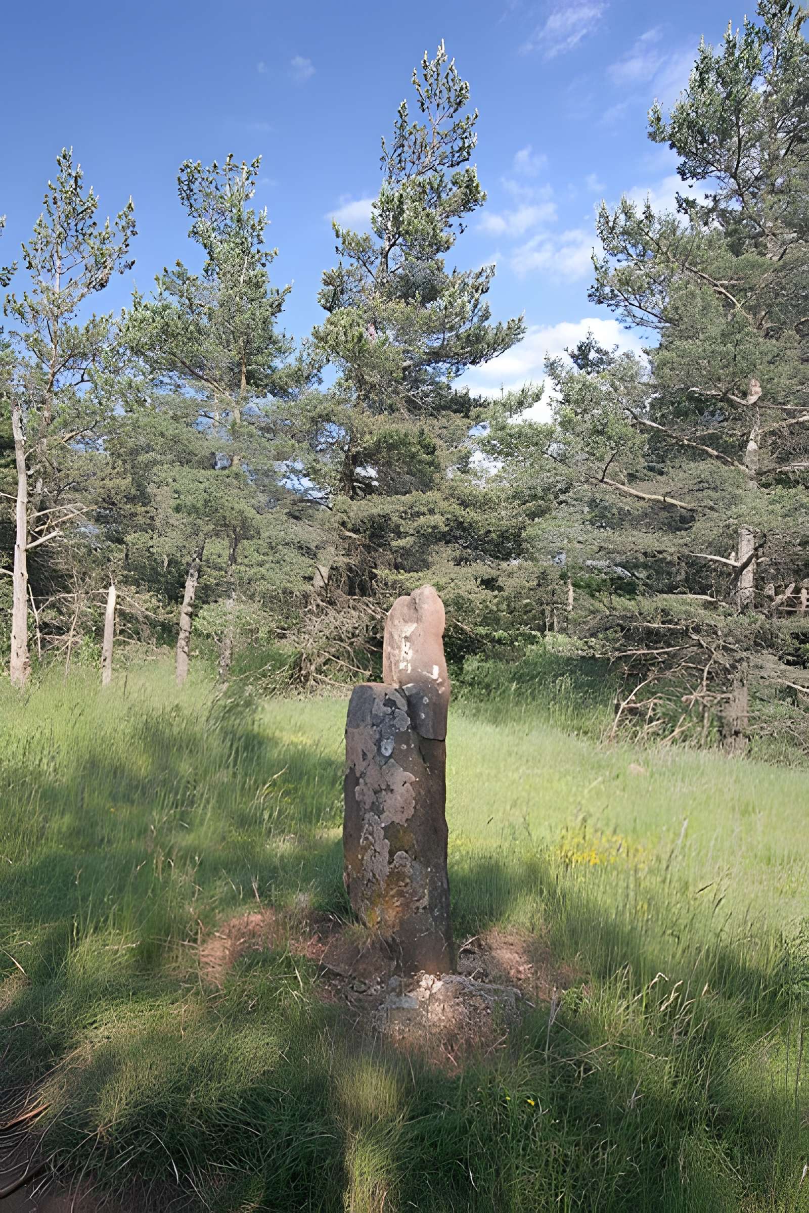 Menhirs constituant le premier groupe dit de la Fage