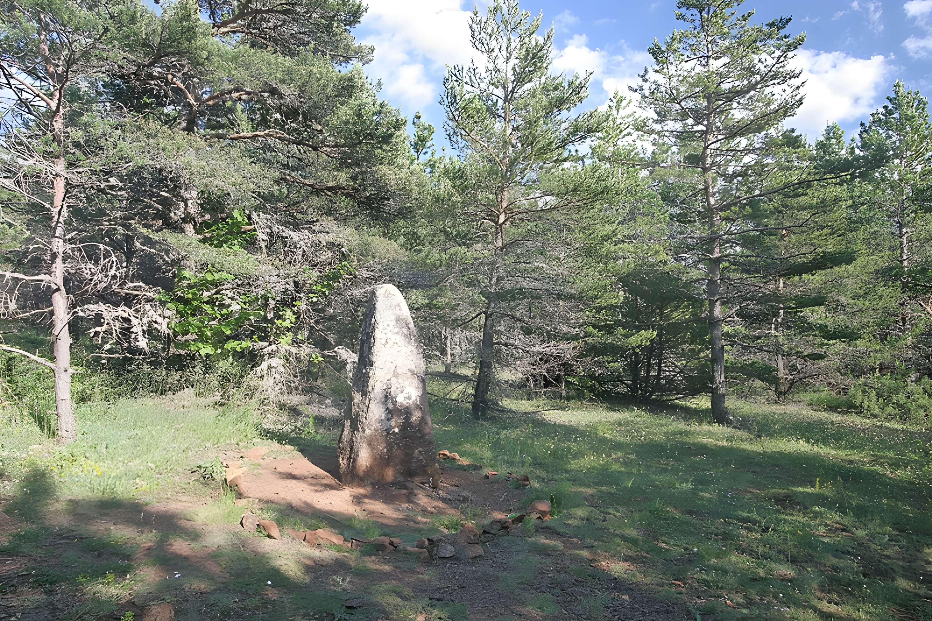 Menhirs constituant le premier groupe dit de la Fage