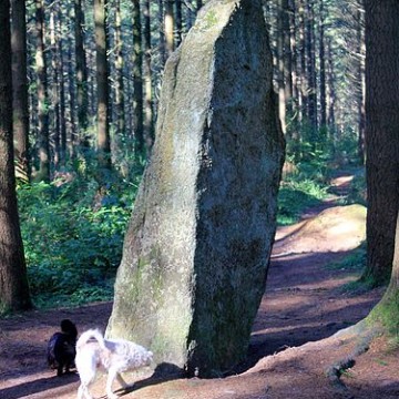 menhirs de l etoile a camors
