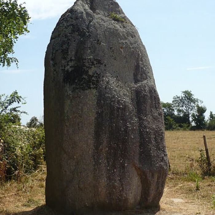 Photo de Menhirs du Plessis au Bernard