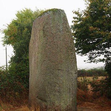 Menhirs du Plessis au Bernard