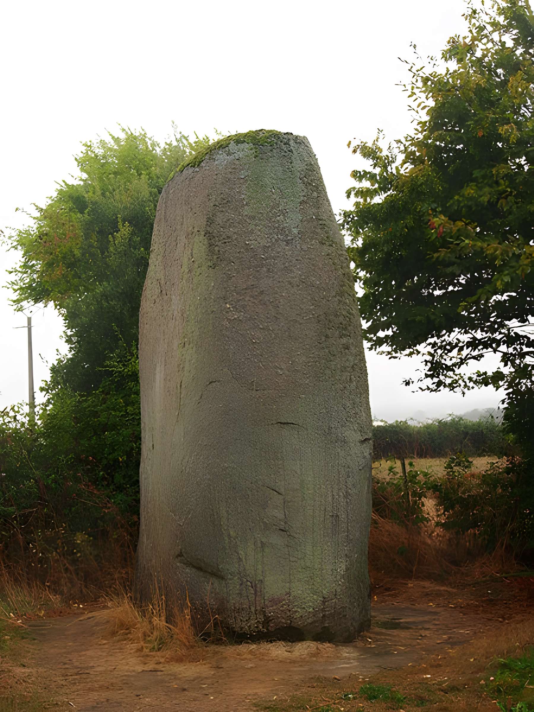 Menhirs du Plessis au Bernard