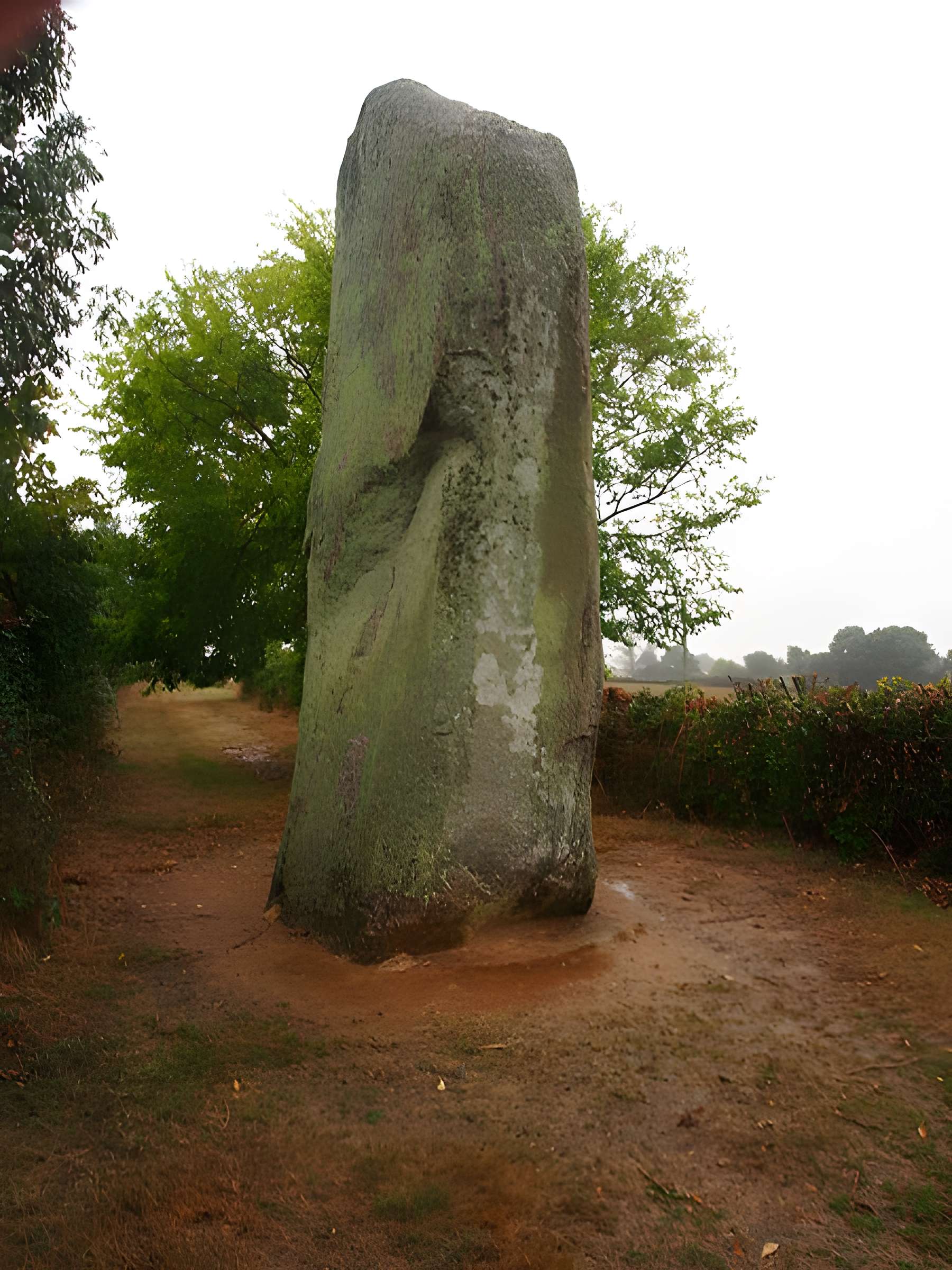 Menhirs du Plessis au Bernard