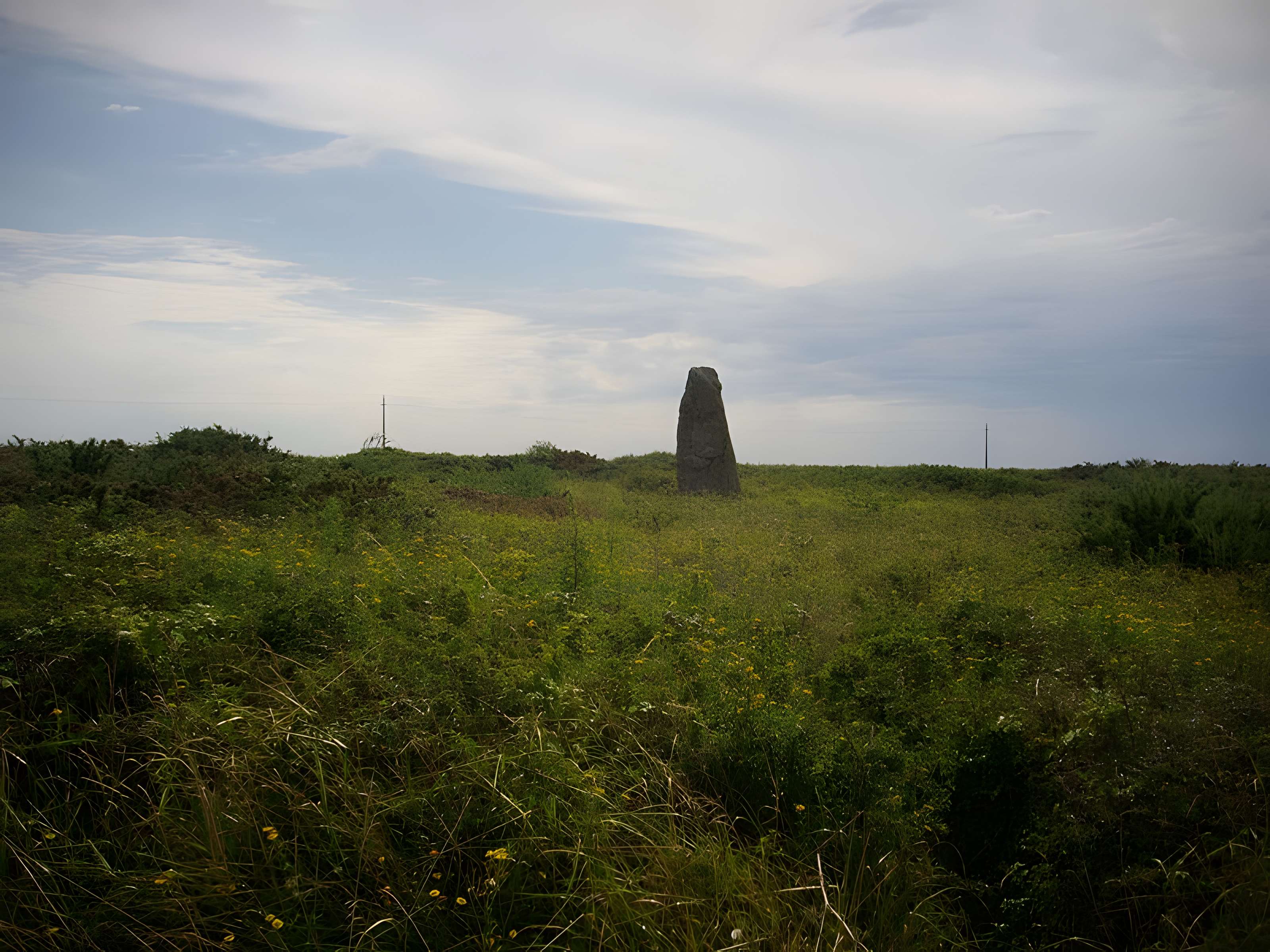 Menhirs Jean et Jeanne de Kerledan à Sauzon