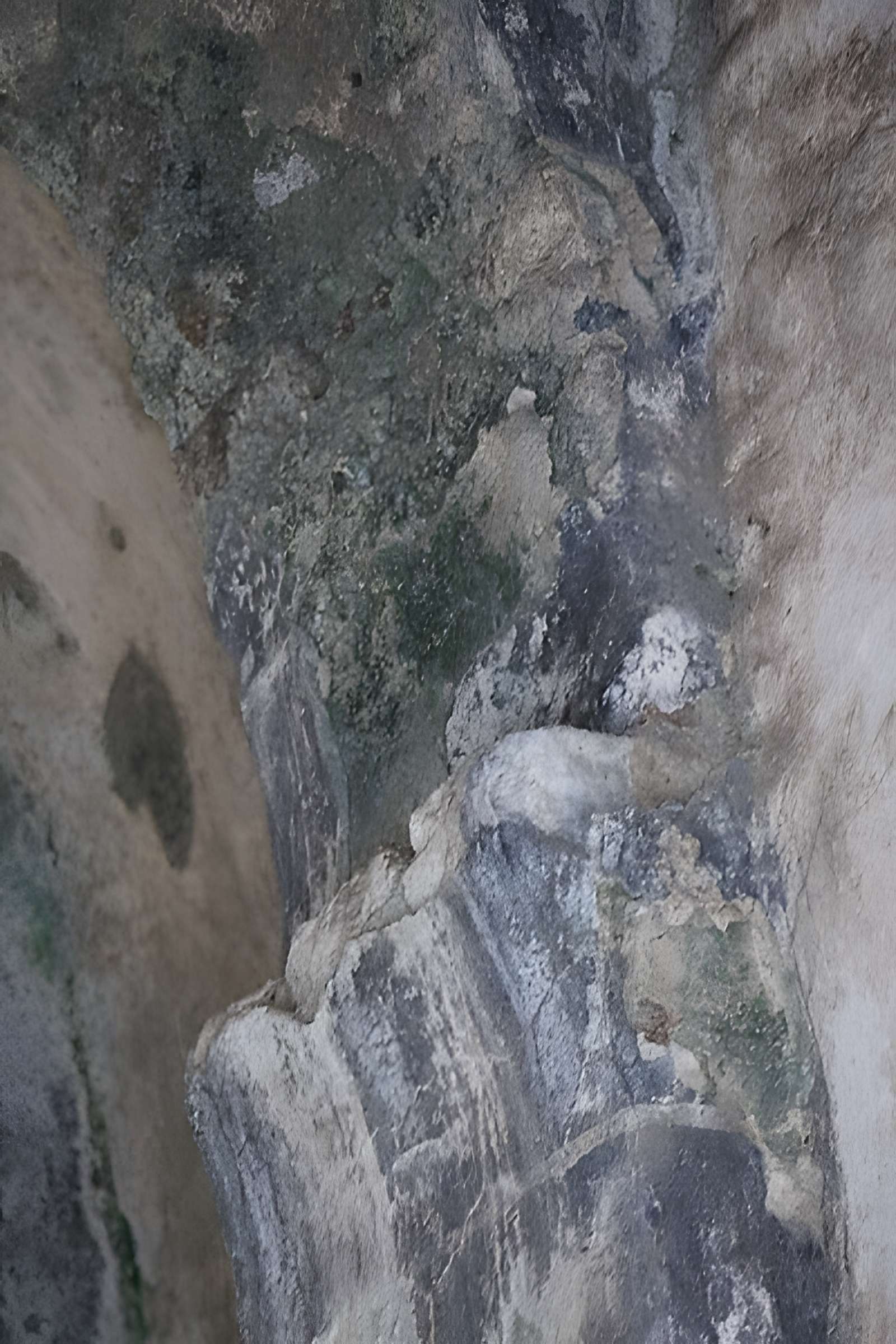 Ancien monastère Saint-Clément de Régleille