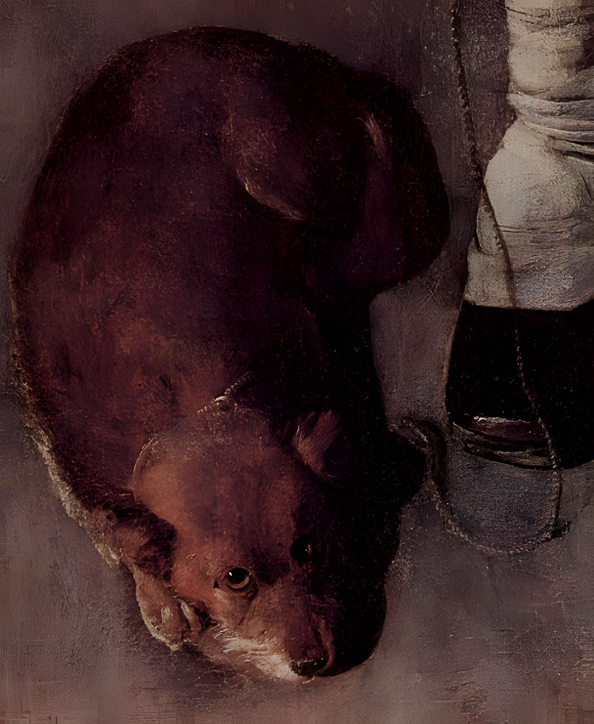 Mont de Piété de Bergues