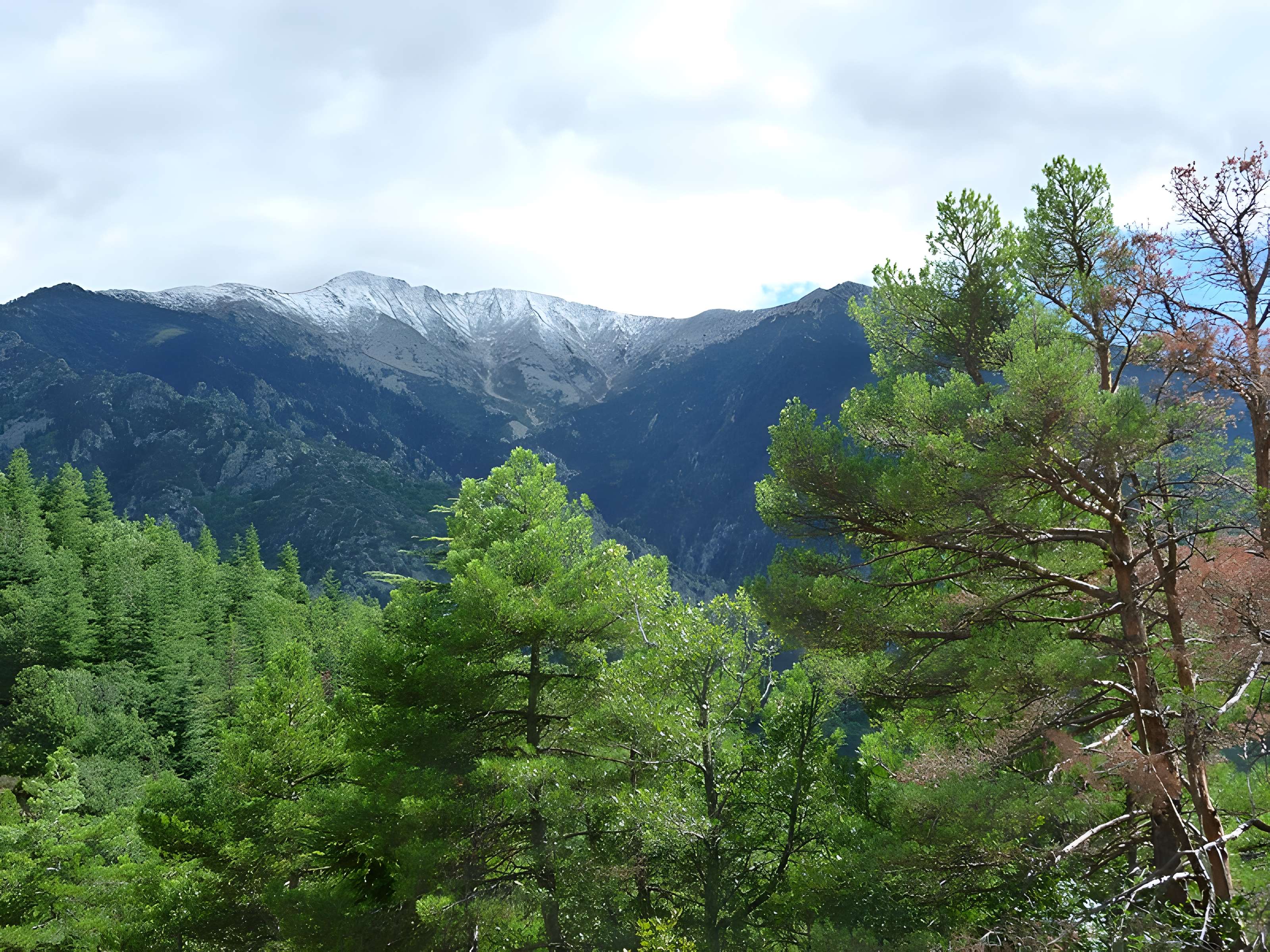 Abbaye Saint-Martin du Canigou