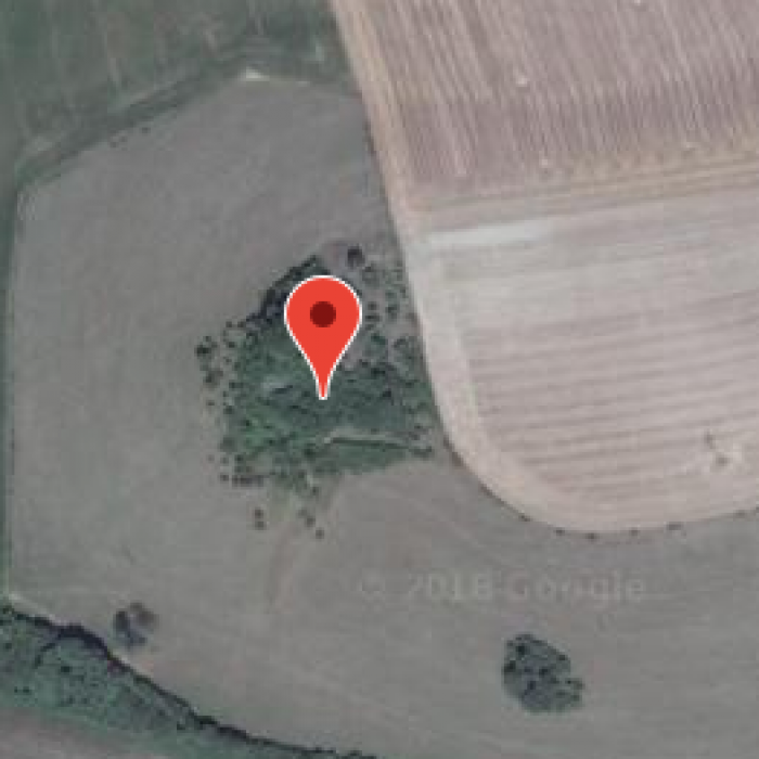 Photo de Motte castrale de Chaillon