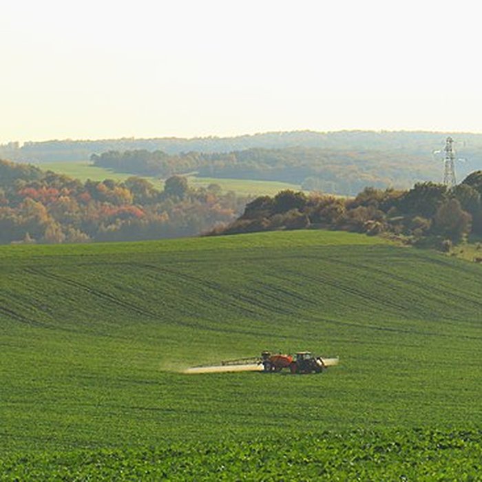 Photo de Motte castrale de Chaillon