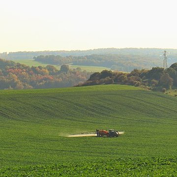 Motte castrale de Chaillon