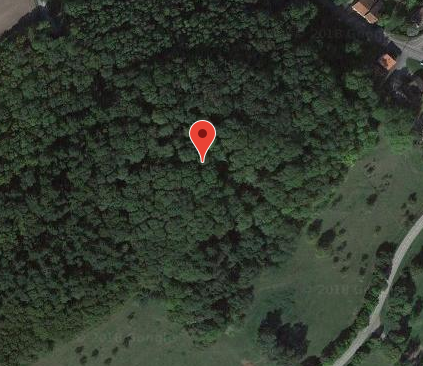 Motte castrale de Marimont-lès-Bénestroff 