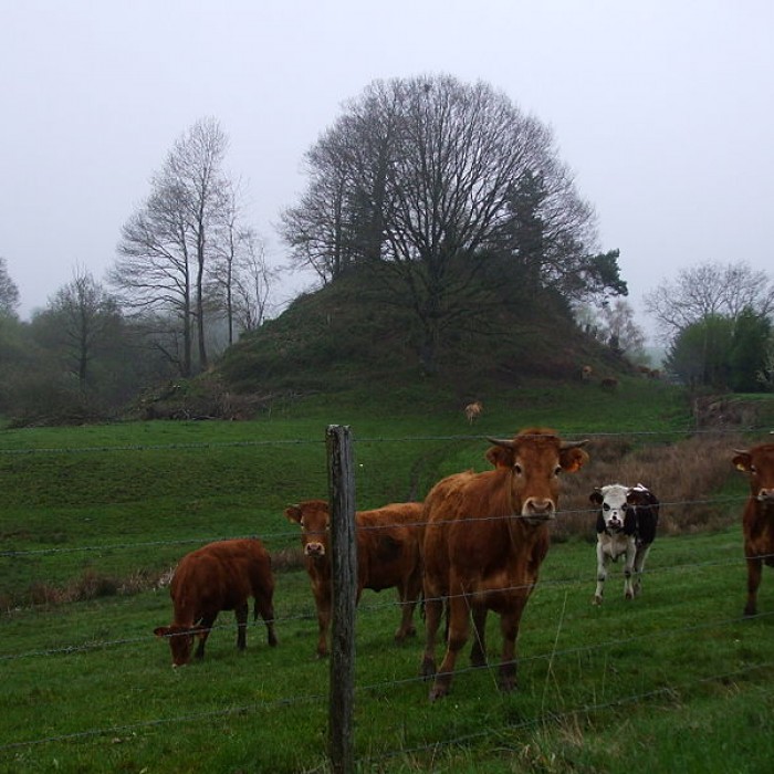 Photo de Mottes castrales du Mazaubrun à Chalus