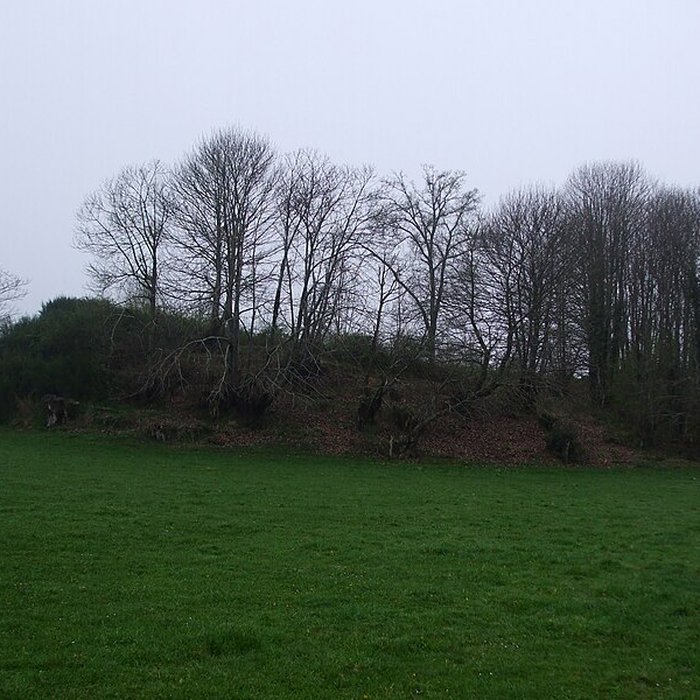 Photo de Mottes castrales du Mazaubrun à Chalus