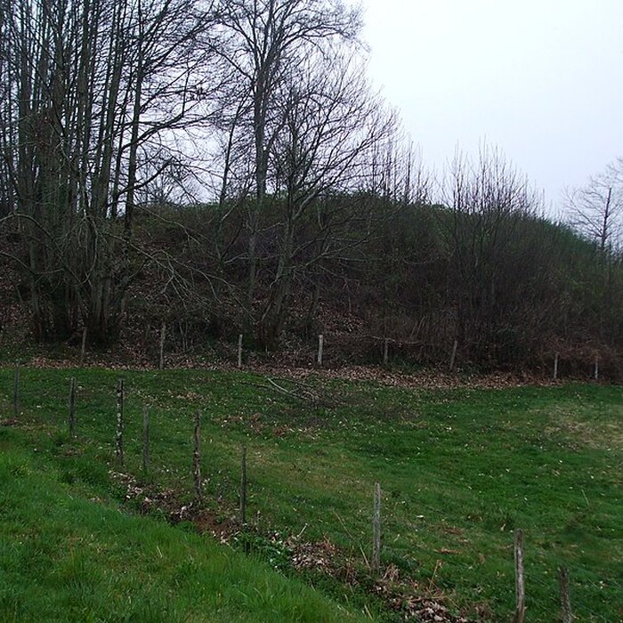 Photo de Mottes castrales du Mazaubrun à Chalus