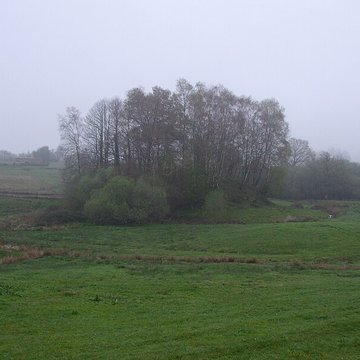 Mottes castrales du Mazaubrun à Chalus