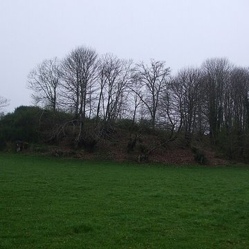 Mottes castrales du Mazaubrun à Chalus