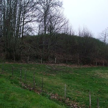 Mottes castrales du Mazaubrun à Chalus