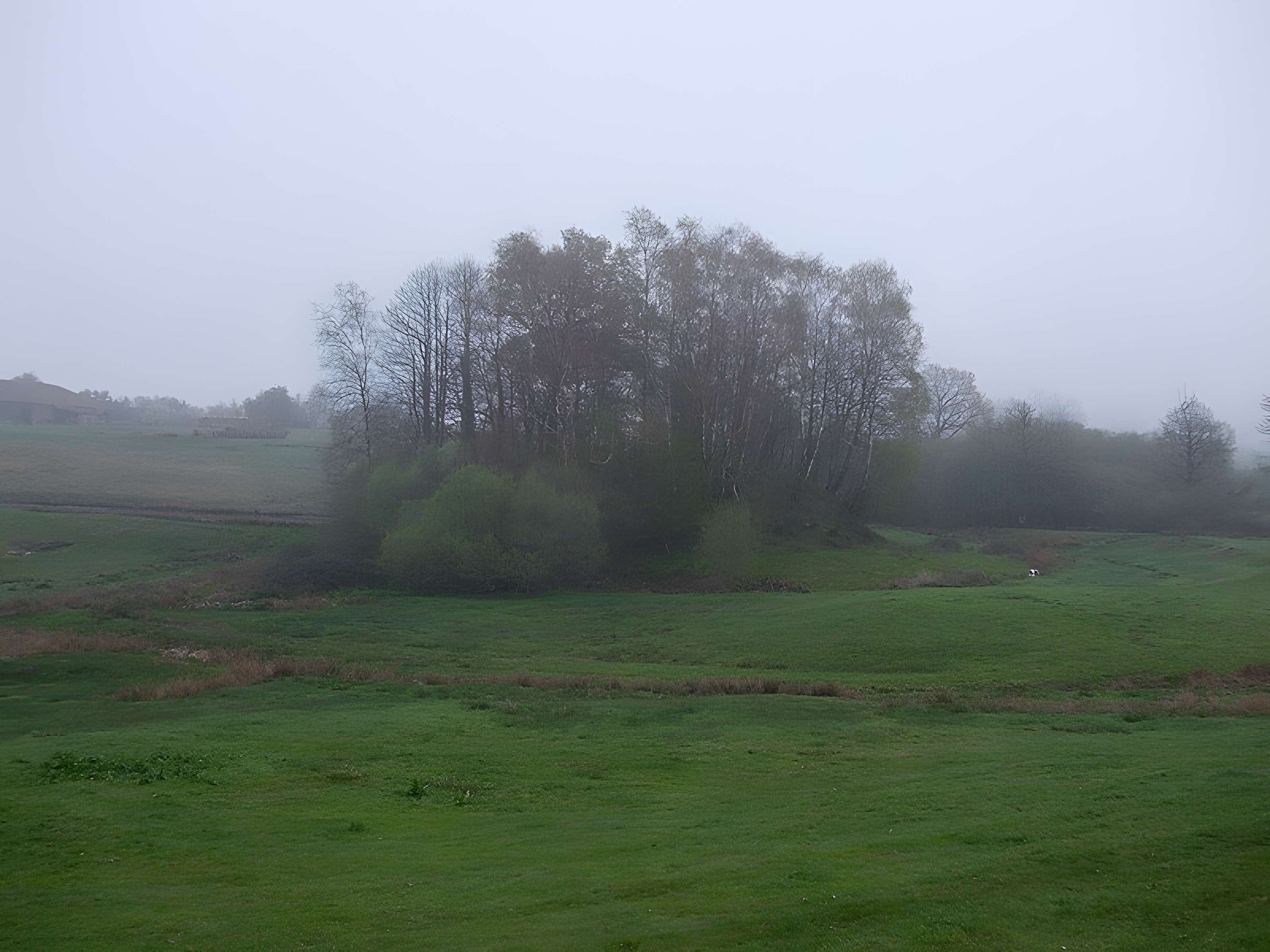 Mottes castrales du Mazaubrun à Chalus