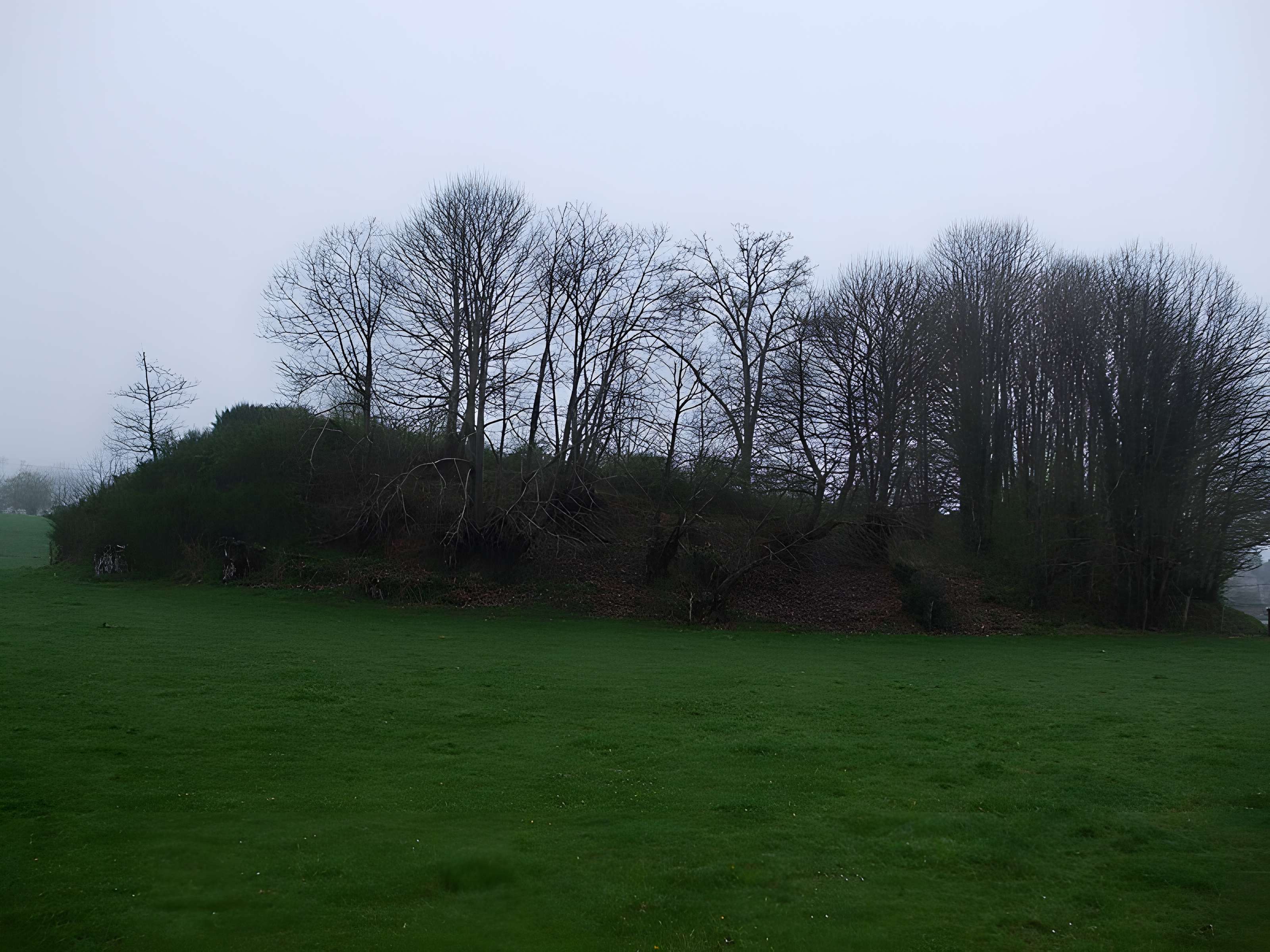 Mottes castrales du Mazaubrun à Chalus