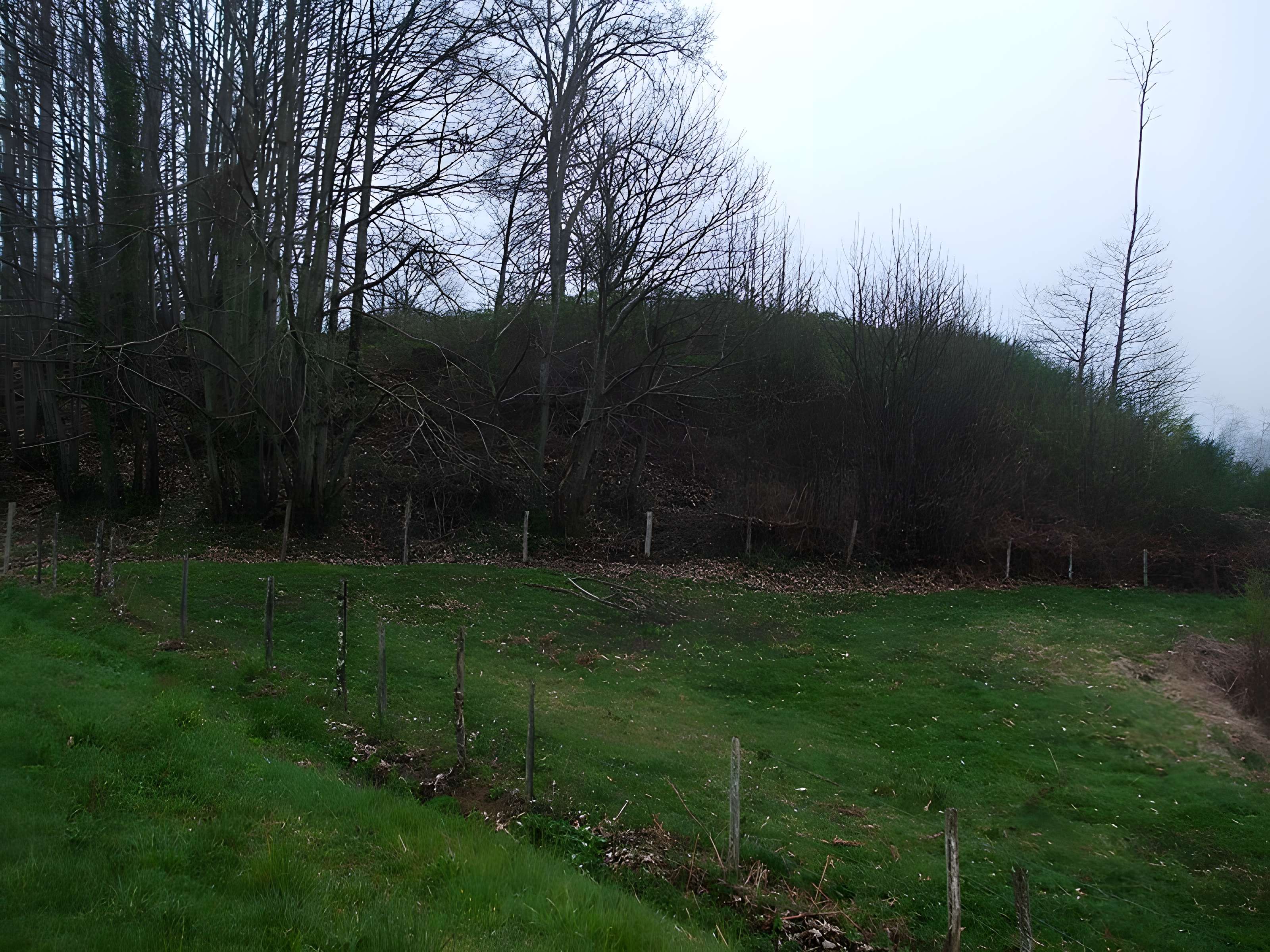 Mottes castrales du Mazaubrun à Chalus