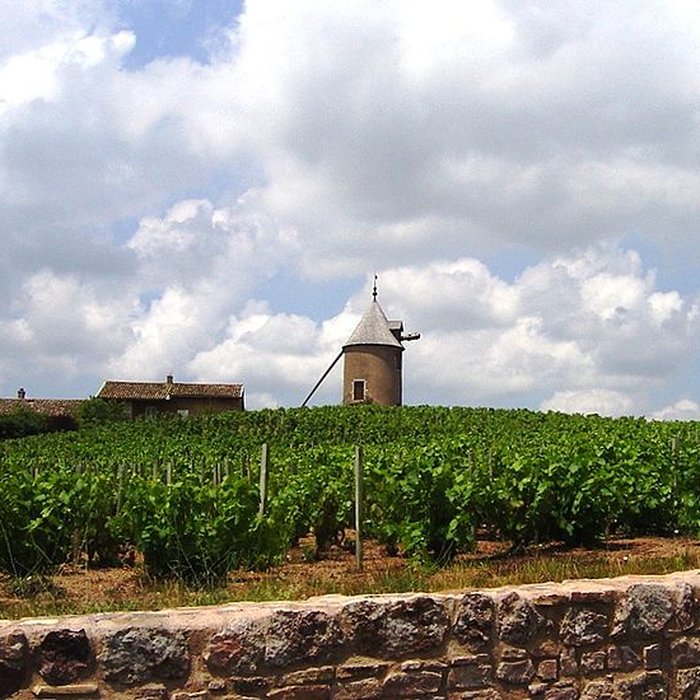 Photo de Moulin à vent de Romanèche-Thorins