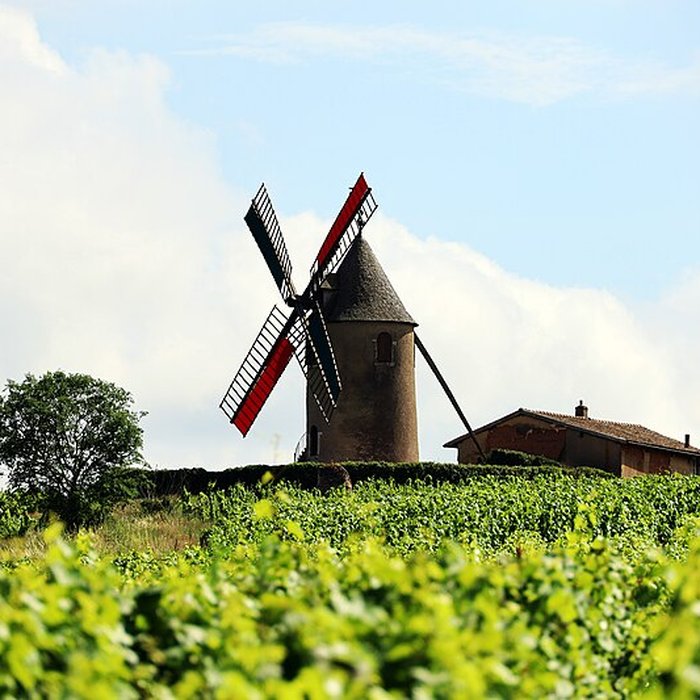 Photo de Moulin à vent de Romanèche-Thorins