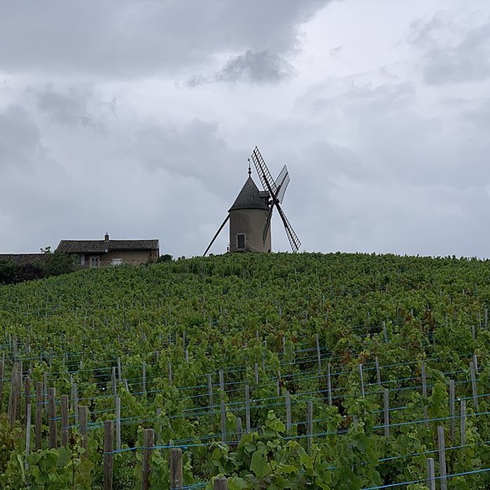 Photo de Moulin à vent de Romanèche-Thorins