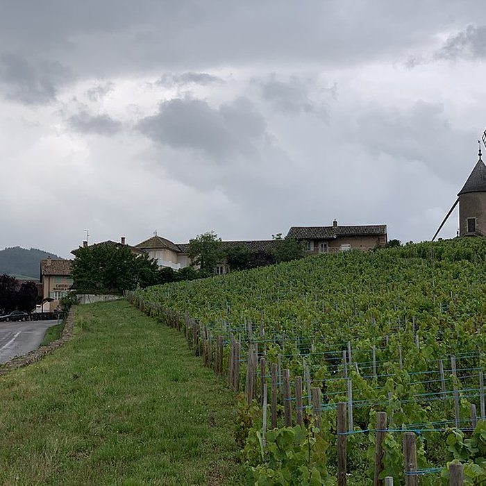 Photo de Moulin à vent de Romanèche-Thorins