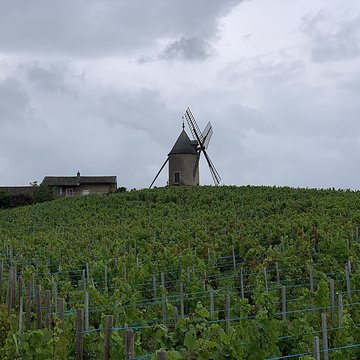 Moulin à vent de Romanèche-Thorins