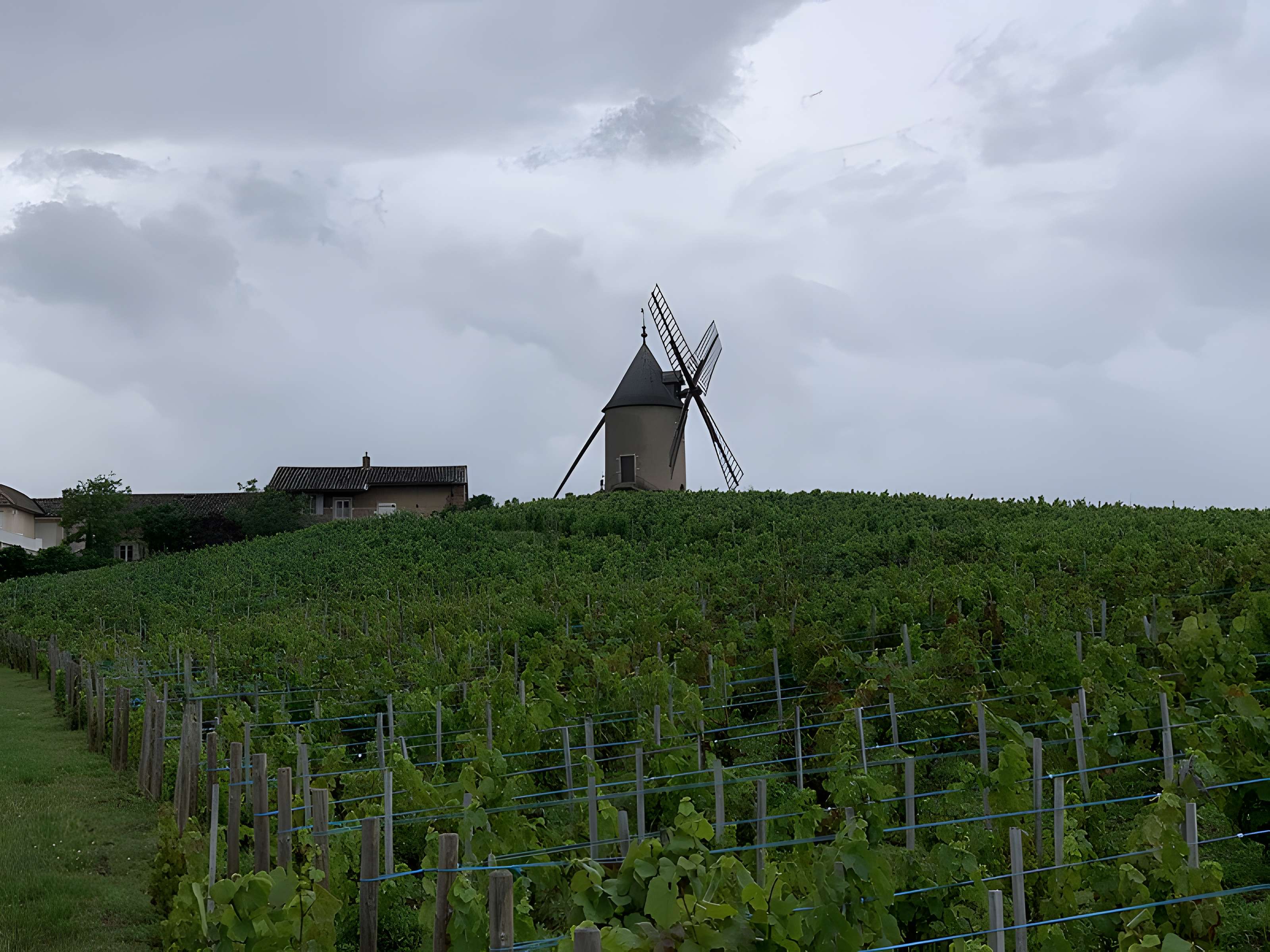 Moulin à vent de Romanèche-Thorins
