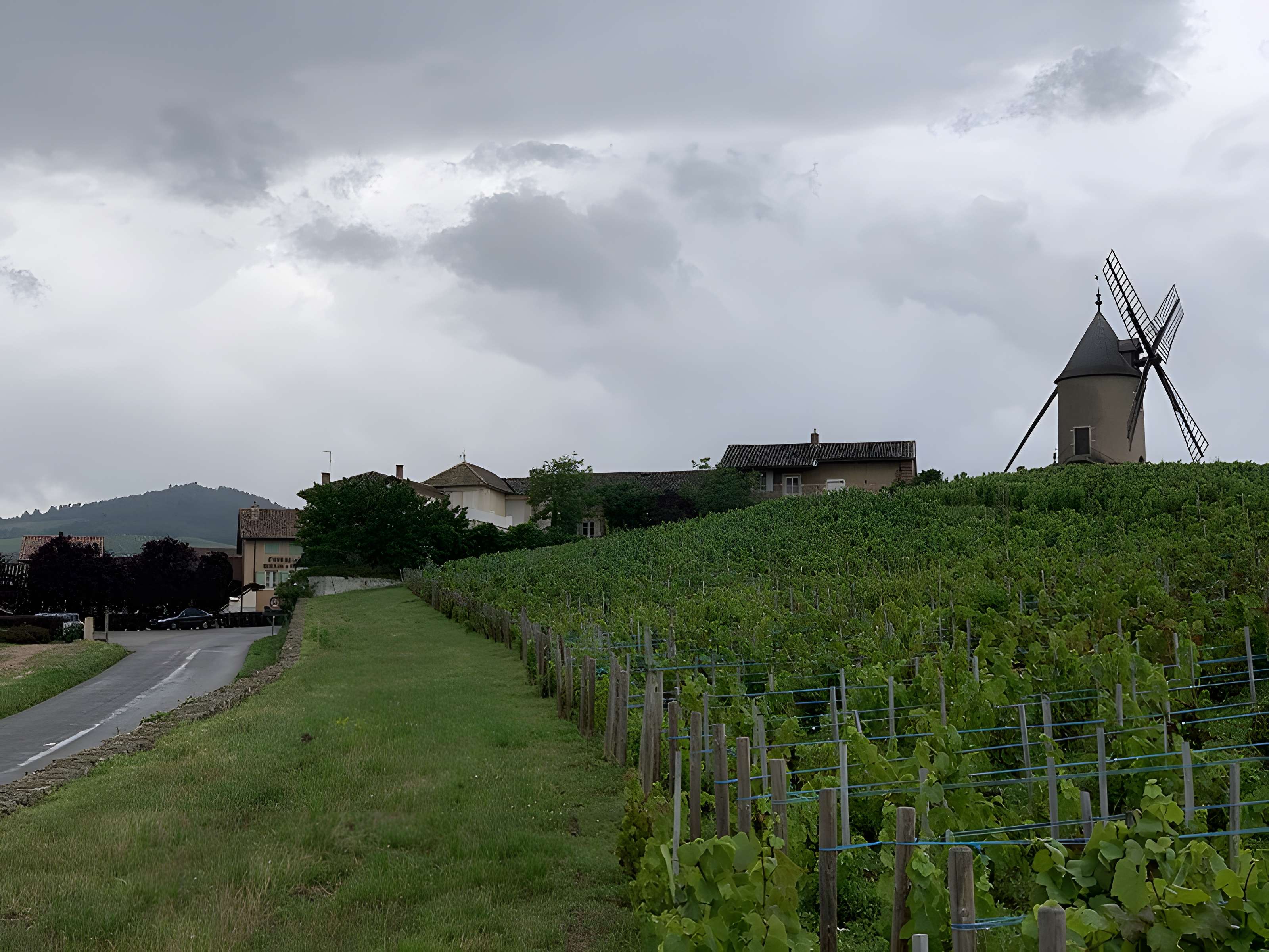 Moulin à vent de Romanèche-Thorins