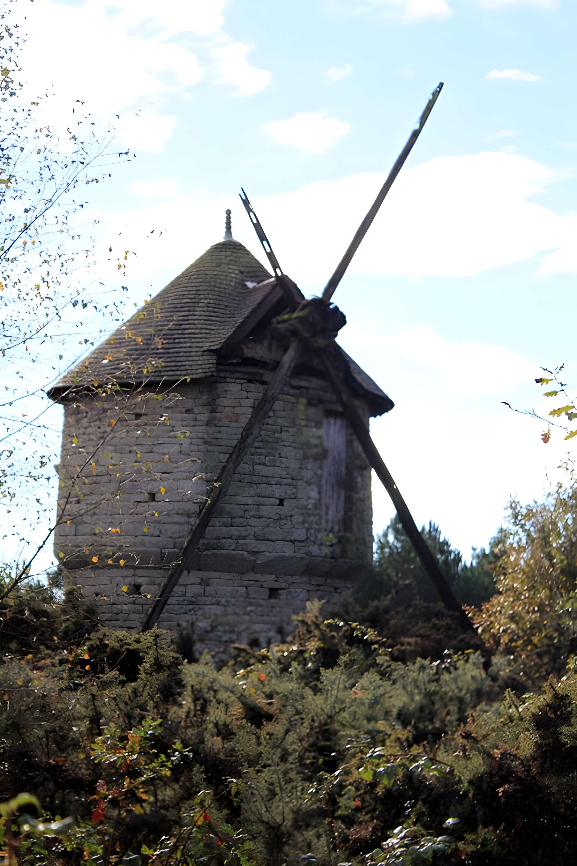 Moulin à vent des Timbrieux à Cruguel
