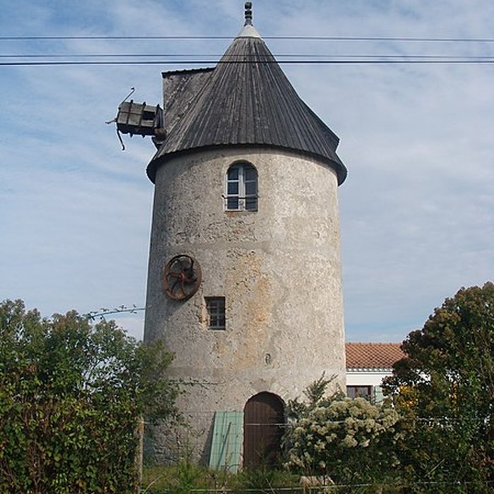 Photo de Moulin de la Plaine à Barbâtre