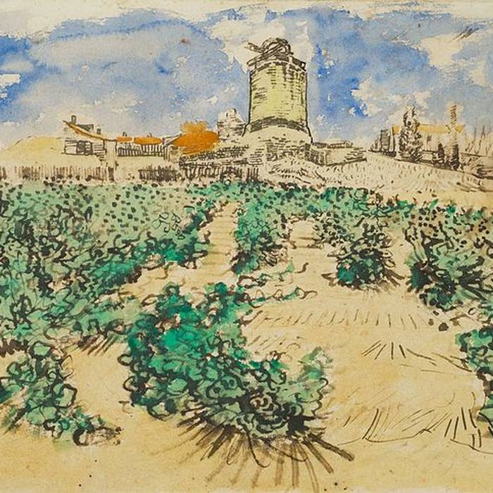 Photo de Moulin de Rome à Fontvieille