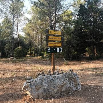 Moulin de Rome à Fontvieille