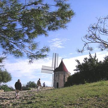 Moulin de Rome à Fontvieille