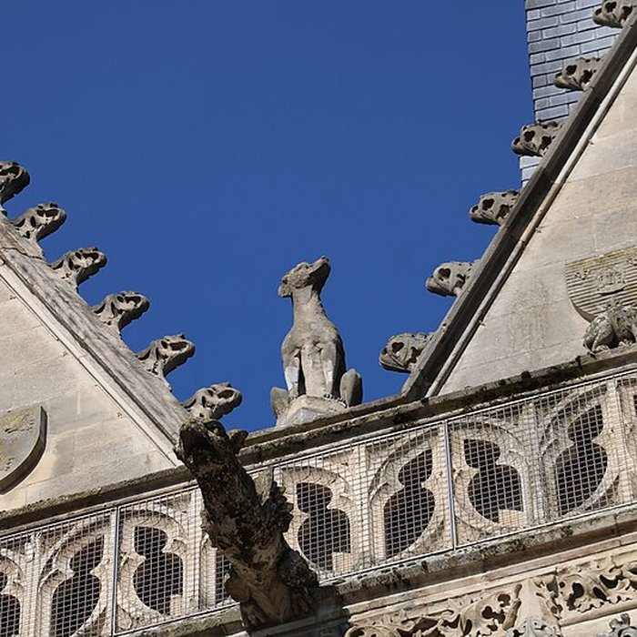 Photo de Hôtel de ville de Saint-Quentin