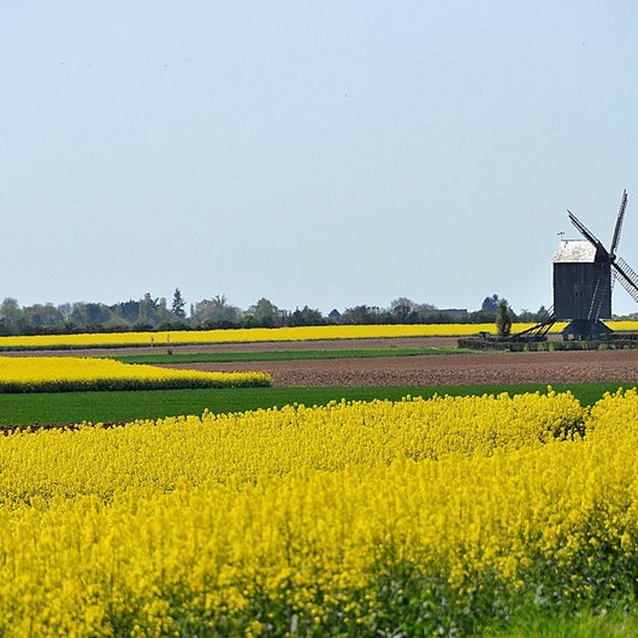 Photo de Moulin de Talcy
