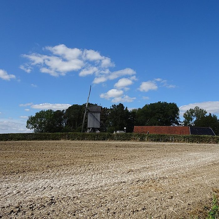 Photo de Moulin du Sud à Steenvoorde