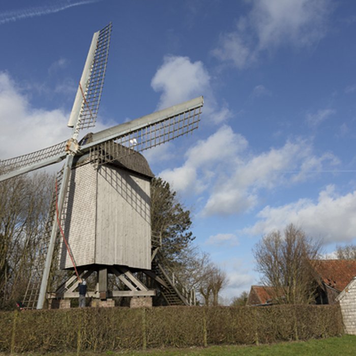 Photo de Moulin du Sud à Steenvoorde