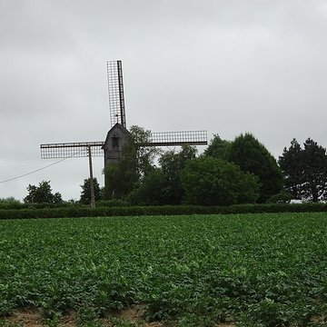 Moulin du Sud à Steenvoorde