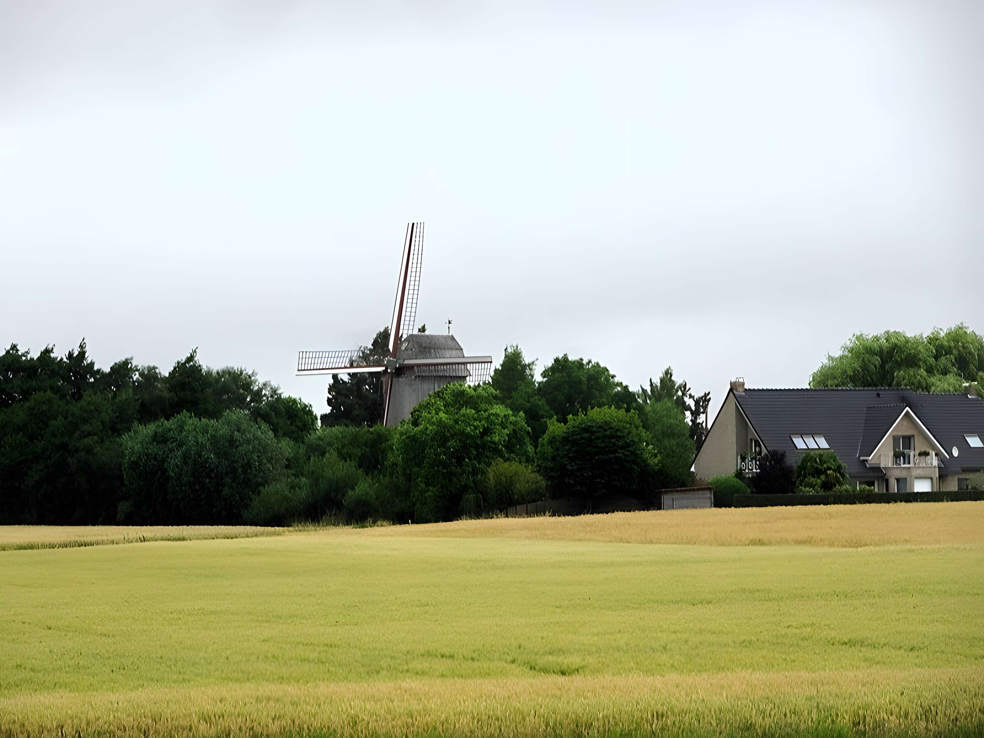 Moulin du Sud à Steenvoorde