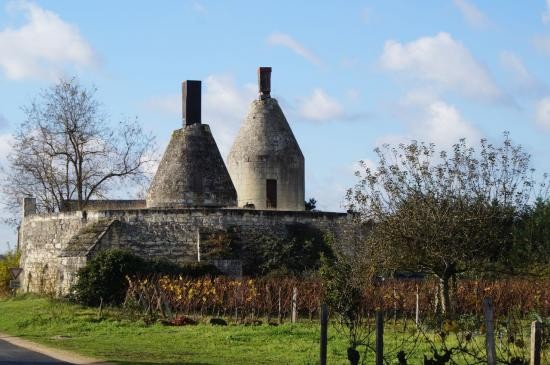 Photo de Moulins-caviers de Chouzé-sur-Loire