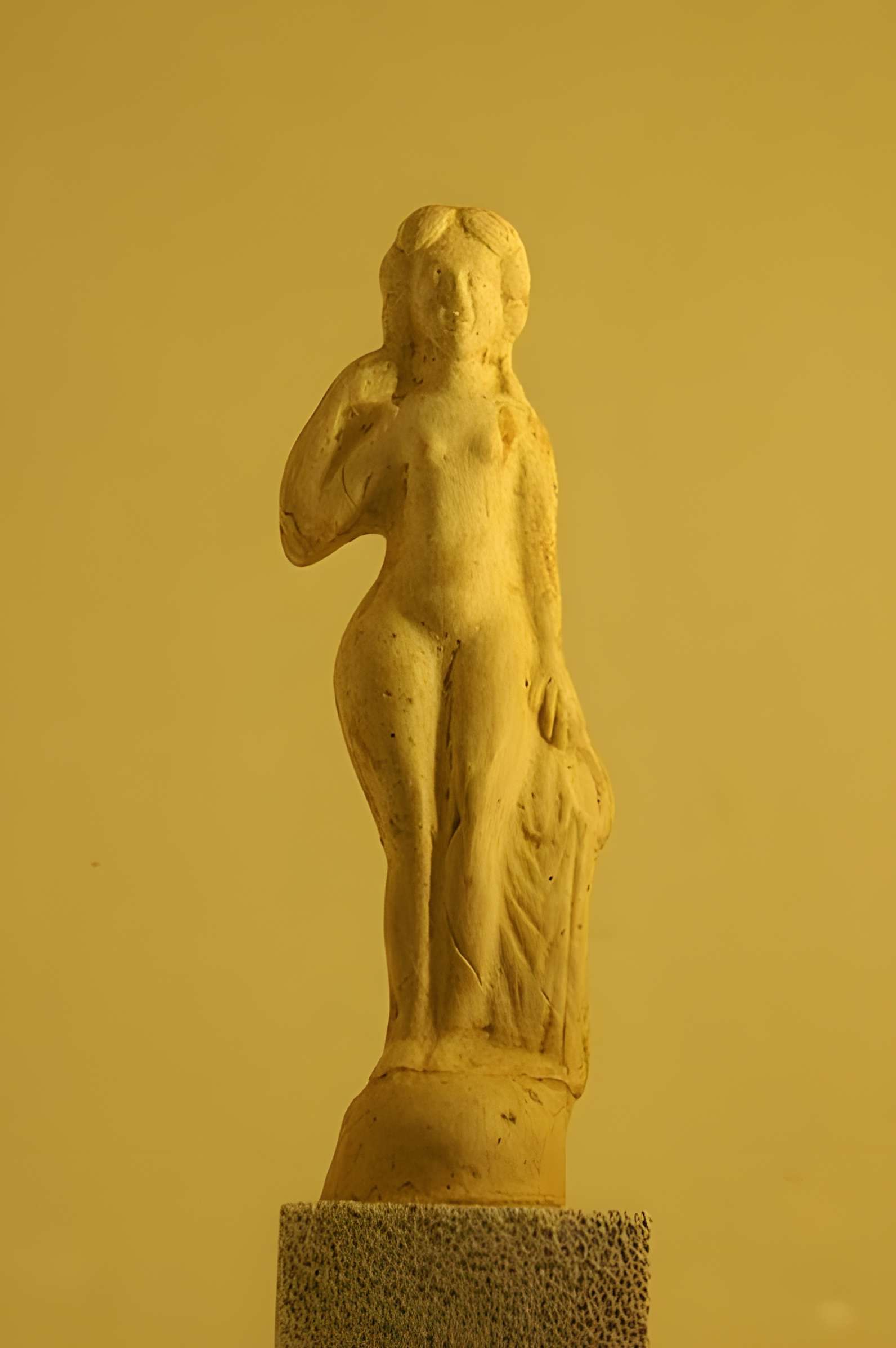 Musée du Prieuré d'Harfleur