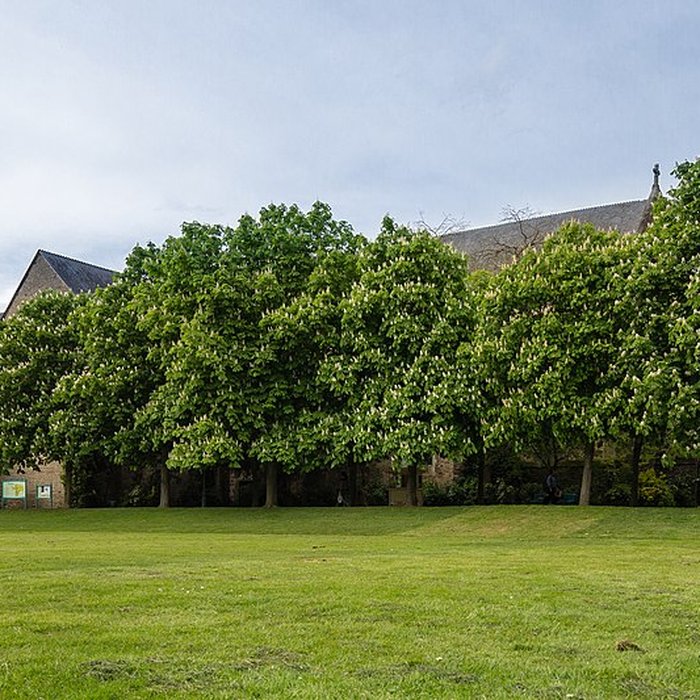 Photo de Notre-Dame-en-Saint-Melaine de Rennes