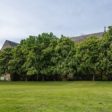 Notre-Dame-en-Saint-Melaine de Rennes